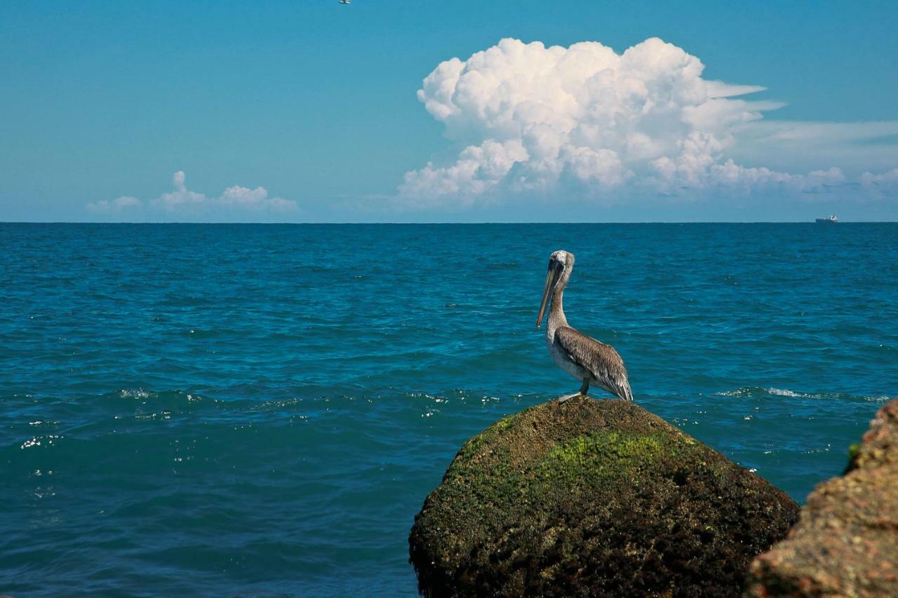 Island Serenity South Padre Island Kültér fotó